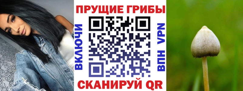 Псилоцибиновые грибы прущие грибы  наркотики  Юрга 