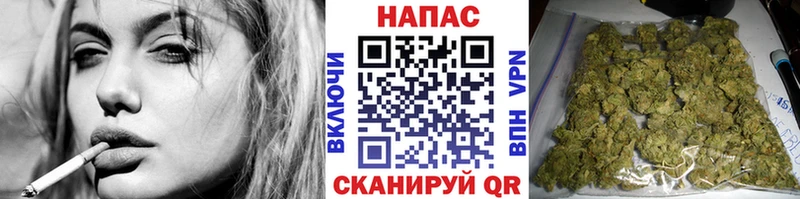 Конопля Amnesia  Юрга 